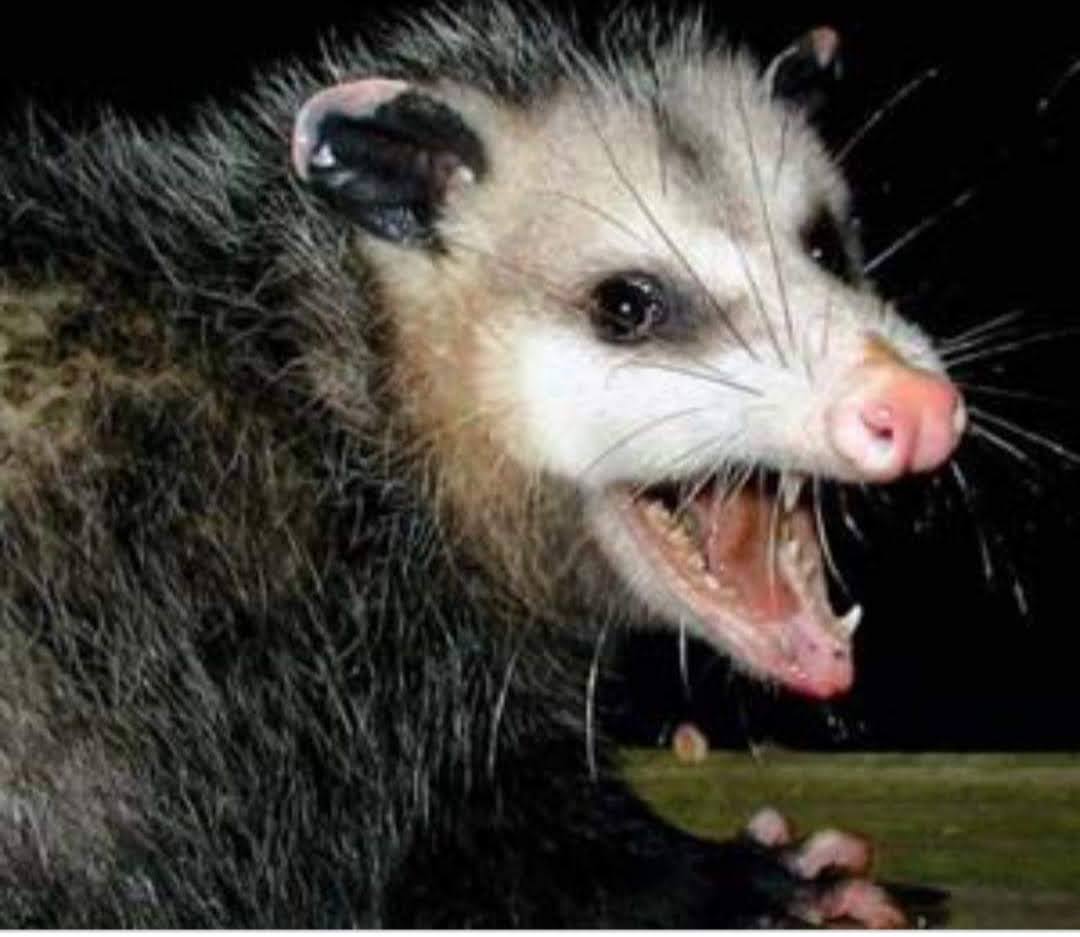 A. A. Chips Game Theory of Life - Change the Game you are Playing..