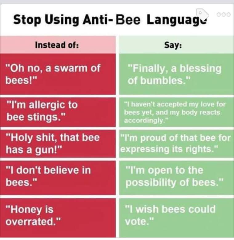 Image with humorous suggested alternative phrases for common anti-bee language. For example, instead of saying 'Oh no, a swarm of bees', say 'Finally, a blessing of bumbles.'