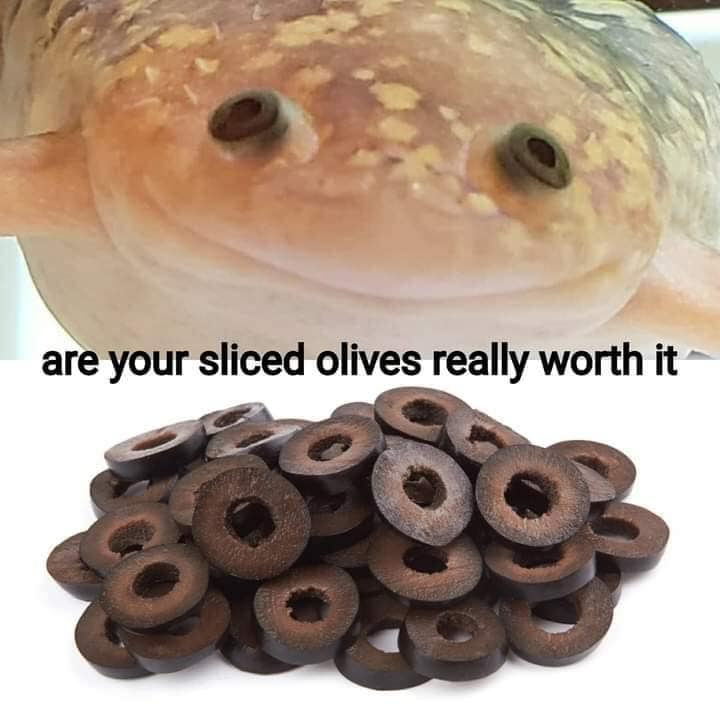Meme - are your sliced olives really worth it? - image of a puffer fish with eyes that look like sliced olives.