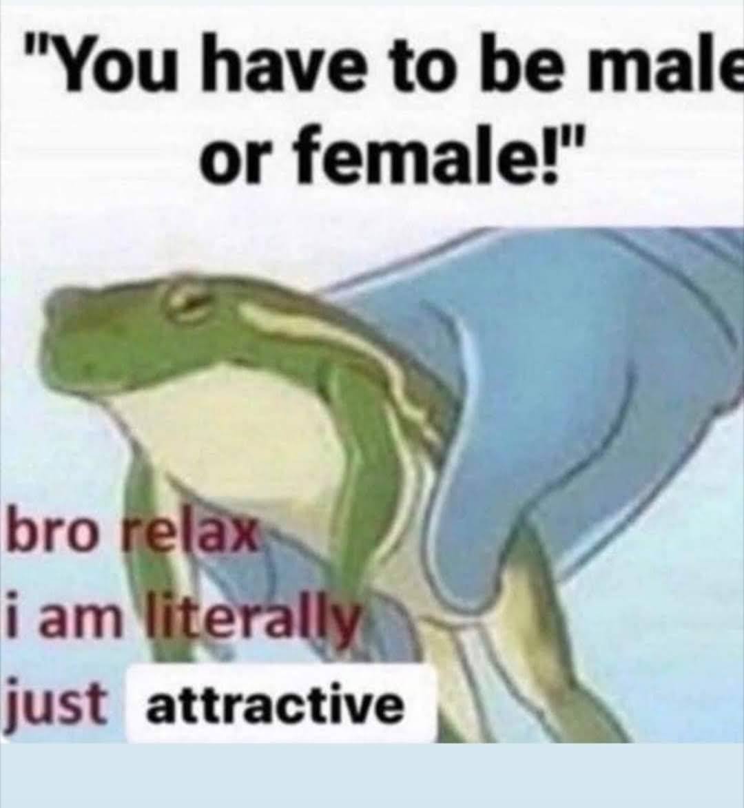 Meme of frog text content- You ahve to be male or female.. bro relax I am literally just attractive.