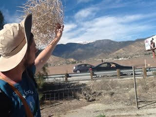 Holding a tumbleweed during walk through desert.