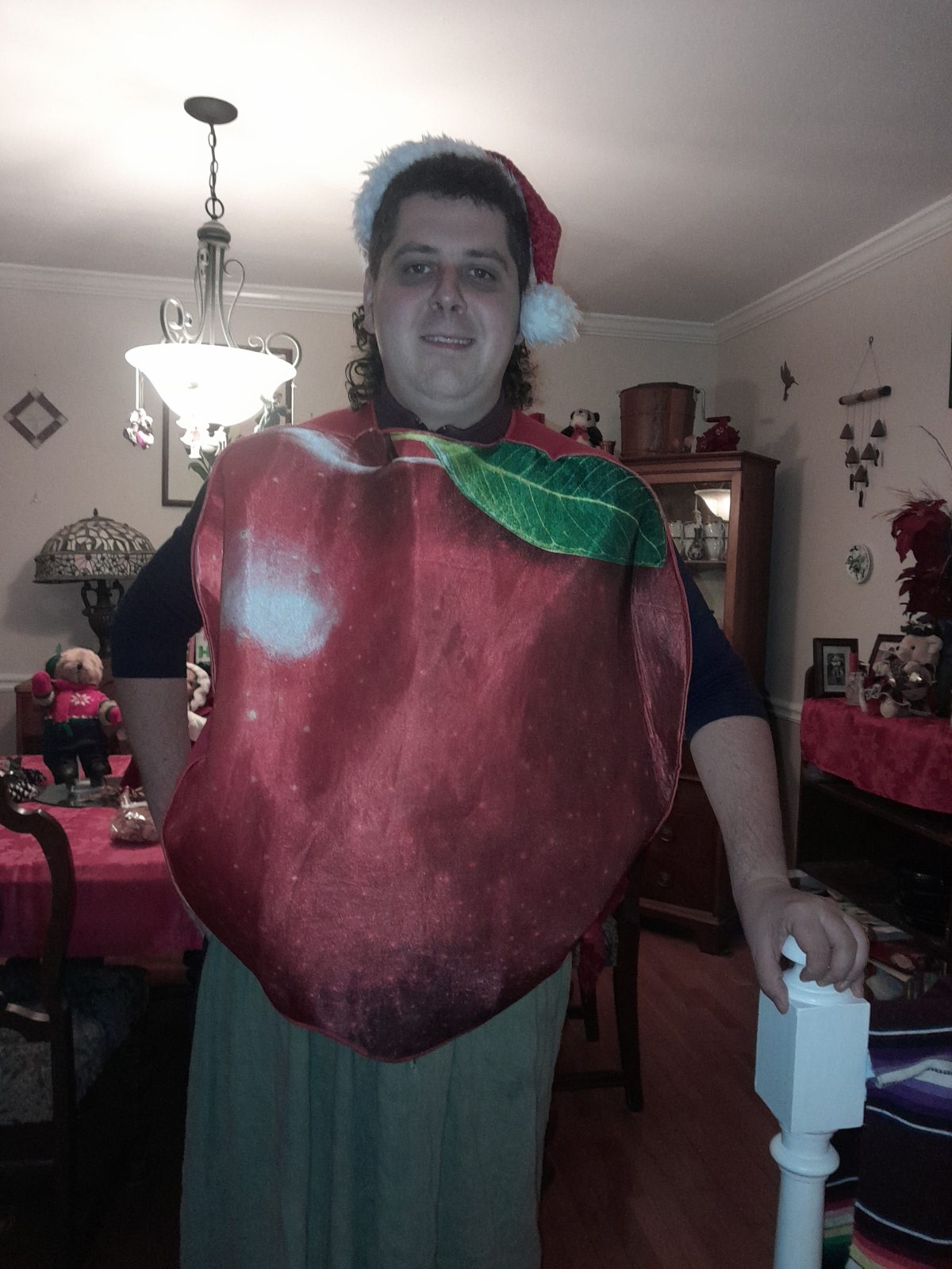 Apple Christmas Photo.